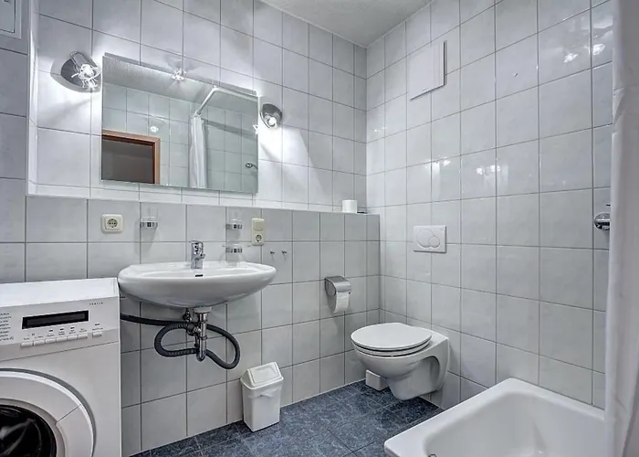 Henri 公寓 泽姆平