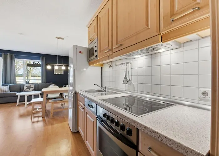 Henri 公寓 泽姆平